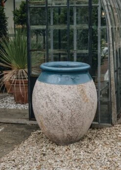 Olive Pot With Blue Neck, 90cm