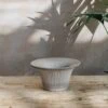 Bergs Potter Grey Daisy Pots