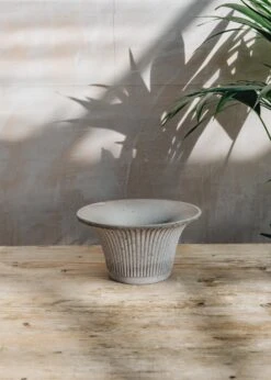 Bergs Potter Grey Daisy Pots