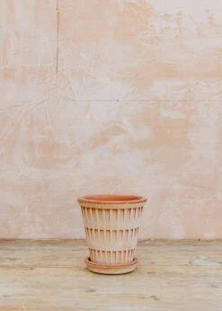 Bergs Potter Pantheon Rosa Pot -Burford Garden Sale Bergs Potter Pantheon Rosa Pots 14cm IMG 2440