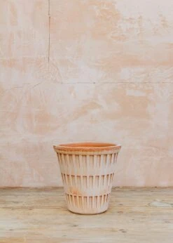 Bergs Potter Pantheon Rosa Pot -Burford Garden Sale Bergs Potter Pantheon Rosa Pots 18cm IMG 2435