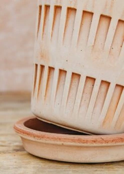 Bergs Potter Pantheon Rosa Pot -Burford Garden Sale Bergs Potter Pantheon Rosa Pots IMG 2444