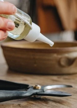 Camellia Oil For Tools -Burford Garden Sale Camellia Oil DSC 1517