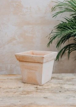 Bergs Potter Rosa Gaia Pots -Burford Garden Sale Gaia Pots Rosa 25cm DSCF6867