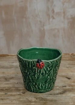 Ladybird Vase/Pot Cover