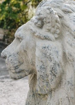 Right Facing Stone Lion -Burford Garden Sale Lion DSC 6280 29d358da 9300 4989 aa51 3f6c9ab94610