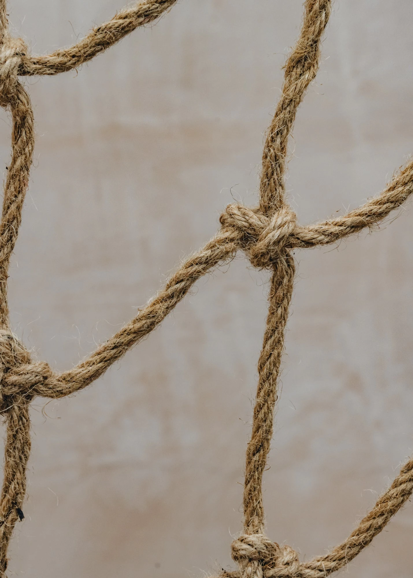 Rope Trellis 2 Rope Trellis - Image 2