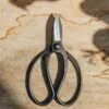 Sentei Garden Scissors