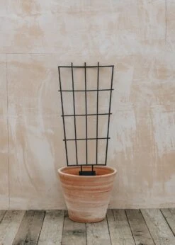 Small Pot Trellis