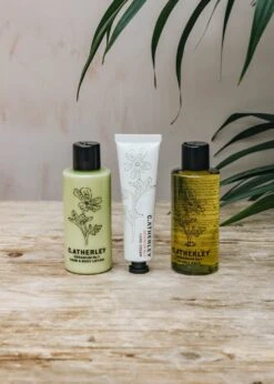 Geranium No.1 Treat Box