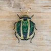Tortoise Beetle Brooch