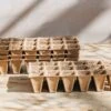 Wood Fibre Seed Trays